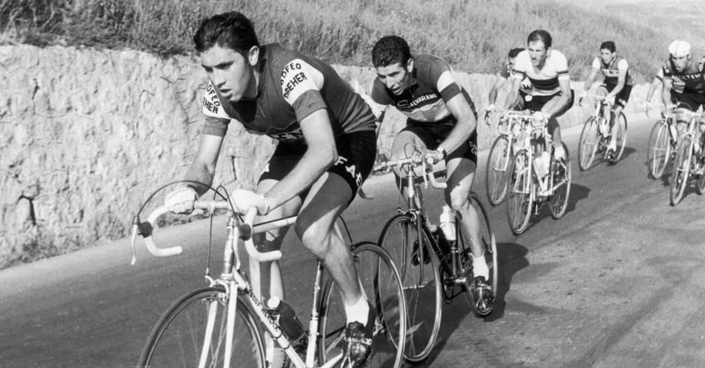 Le biciclette tornano all epoca di Merckx e Gimondi. E non e una buona notizia 24